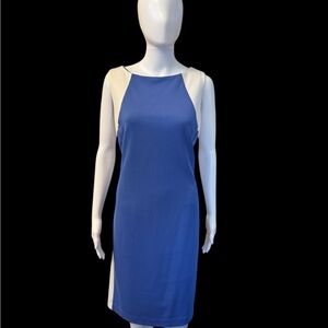 Pretty Color block blue & white shift dress